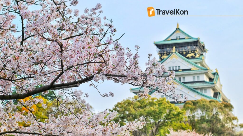 traditional japanese building with sakura