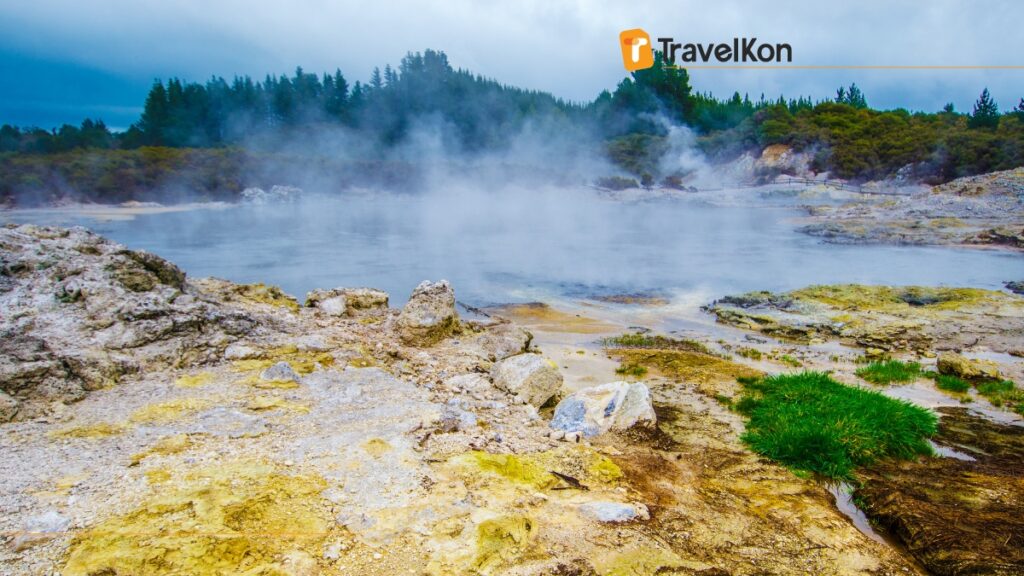 new zealand cheap place for australian