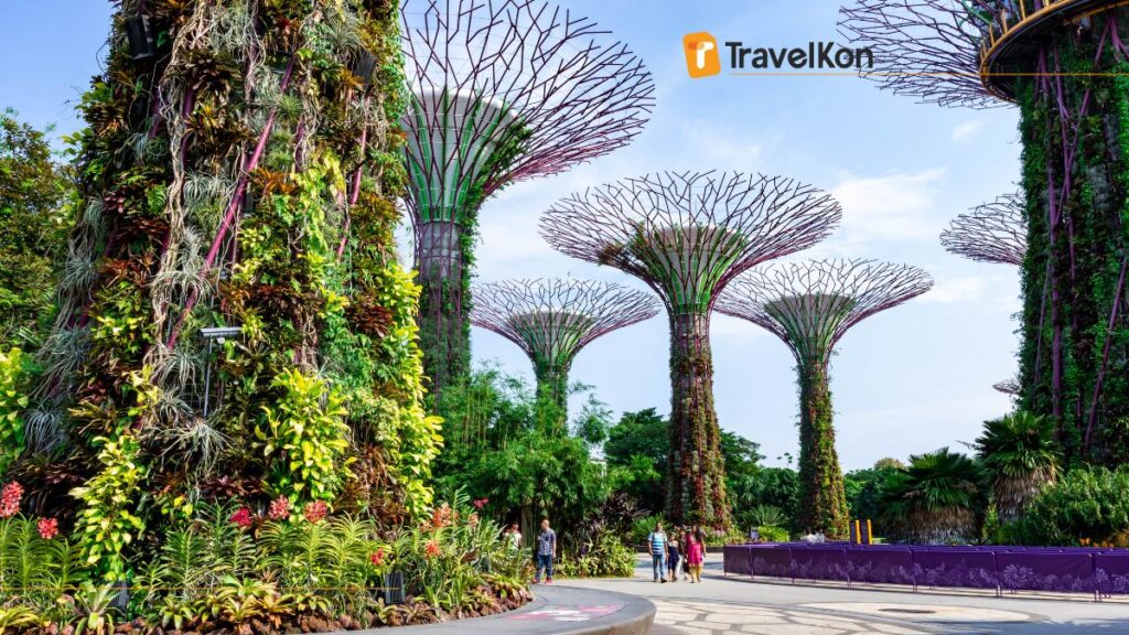 Best Places to Visit in Singapore